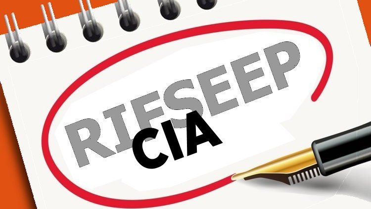 Le CIA (complément indemnitaire annuel), comment ça marche ? - CFDT UFETAM