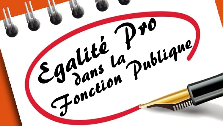 Rapport annuel sur l'égalité professionnelle dans la fonction publique ...